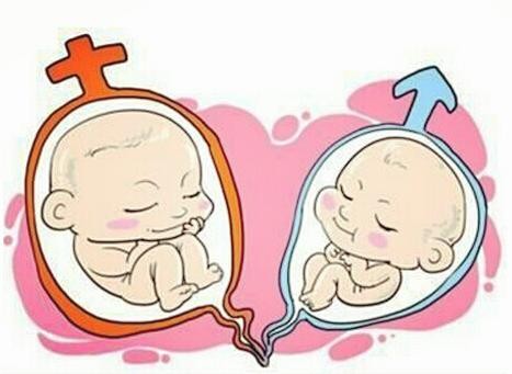 液氮存储